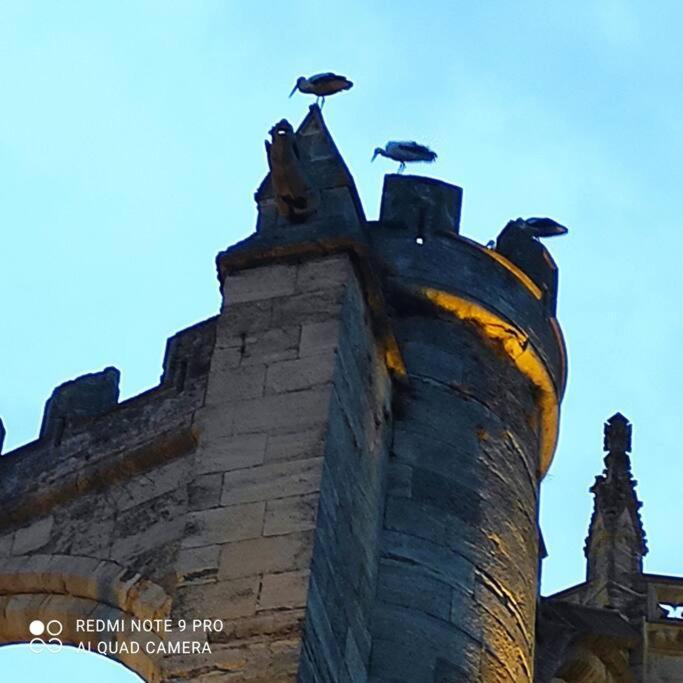 Logis Corneille I Apartment Narbonne Exterior photo